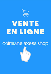 vente en ligne